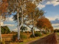 leikur Russian Road