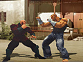 leikur The Perfect Fighter