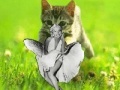 leikur Kitty saevs the day!