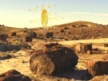 leikur Treasure Hunt-Desert Forest