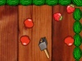 leikur Fruts Gon Wild