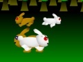 leikur Hare Fighter