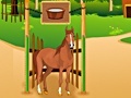 leikur Horse Care Apprenticship
