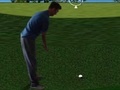 leikur Flash Golf 3D