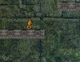 leikur Bunny Adventure