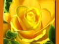 leikur Yellow Roses