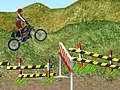 leikur Motorcycle Rally