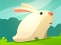 leikur Greedy Rabbit