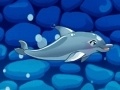 leikur My Dolphin Show 5