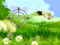 leikur Duck Shooter 