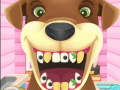 leikur Animal Dentist 