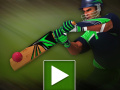 leikur Cricket Batter Challenge