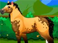 leikur Pony Dress Up