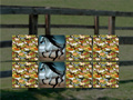 leikur Horse Memo Deluxe