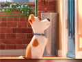 leikur Hidden Letters in The Secret Life of Pets