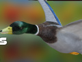 leikur Duck Hunter Autumn forest 