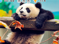 leikur Animal Habitats: Find Items
