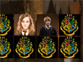 leikur Harry Potter Memo Deluxe