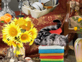 leikur Crazy Cat Lady