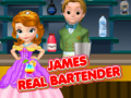 leikur James Real Bartender