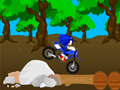 leikur Cross Sonic Race 