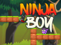 leikur Ninja Boy