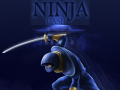 leikur Ninja Dash