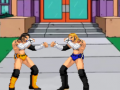 leikur Pro Fighting Combat