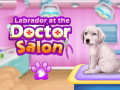 leikur Labrador at the doctor salon    