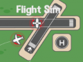 leikur Flight Sim