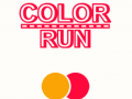 leikur Color Run