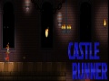 leikur Castle Runner  