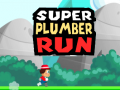 leikur Super Plumber Run