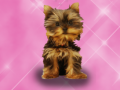 leikur Wash Pets Princess Kids    