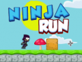 leikur Ninja Run 