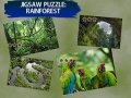 leikur Jigsaw Puzzle Rain Forest 
