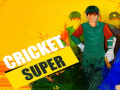leikur Super Cricket      