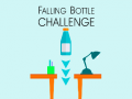 leikur Falling Bottle Challenge