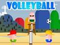 leikur VolleyBoll