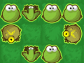 leikur Frog Rush