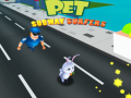 leikur Pet Subway Surfers