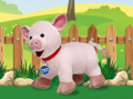 leikur Catch The Pig