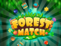 leikur Forest Match