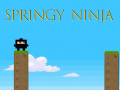 leikur Springy Ninja