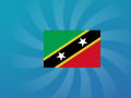 leikur Guess The Flag