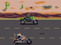 leikur Biker Rage