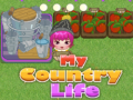 leikur My County Life