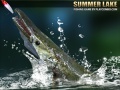 leikur Summer Lake