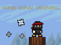leikur Ninja Kunai Training