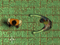 leikur Maze Of Infection